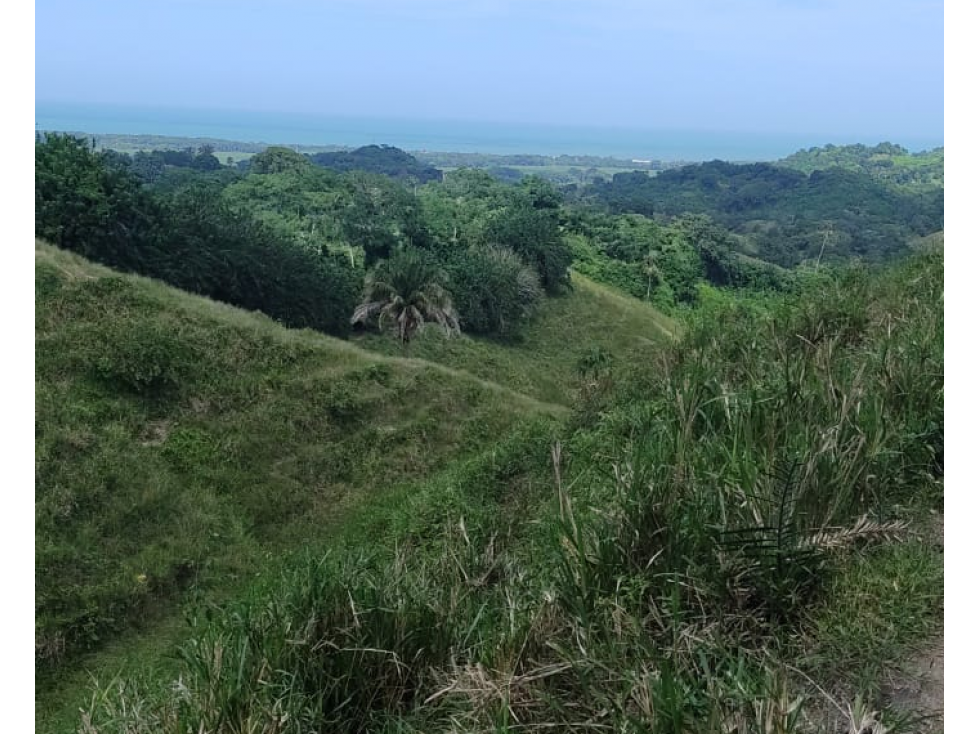 LOTES EN VENTA EN SANTA MARTA POR EL PARQUE TAYRONA — foto 3