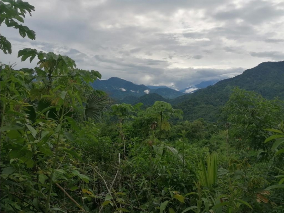 LOTES EN VENTA EN SANTA MARTA POR EL PARQUE TAYRONA — foto 2