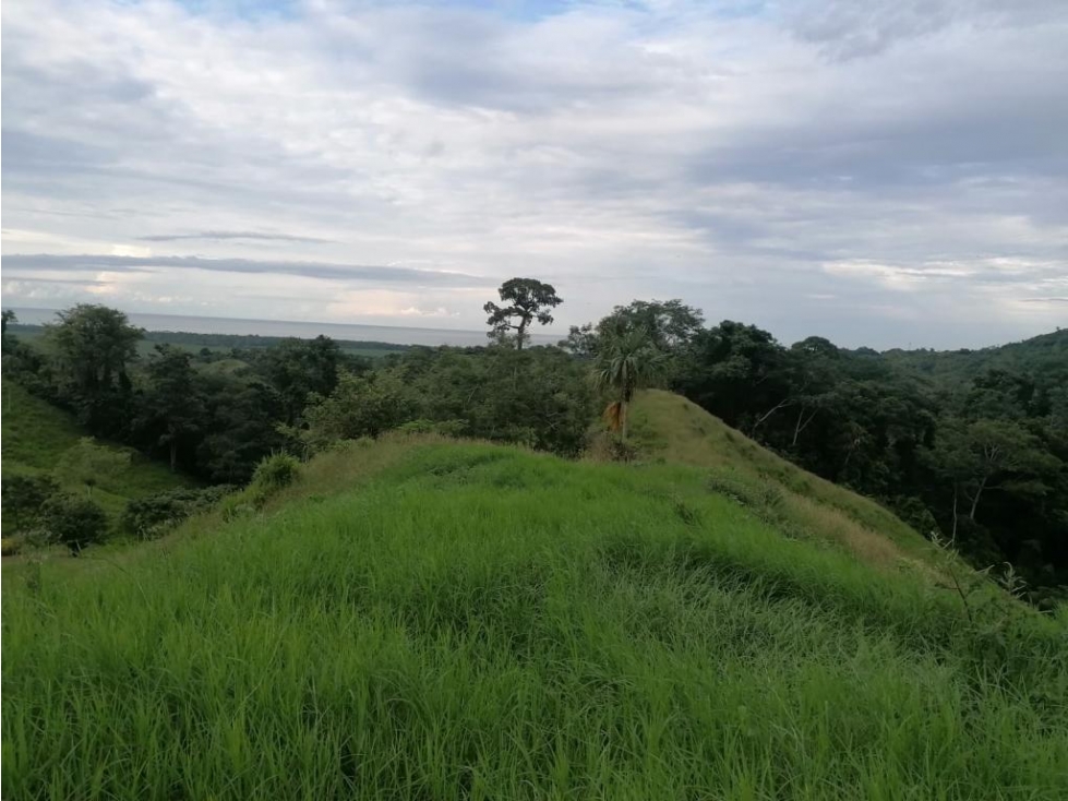 LOTES EN VENTA EN SANTA MARTA POR EL PARQUE TAYRONA