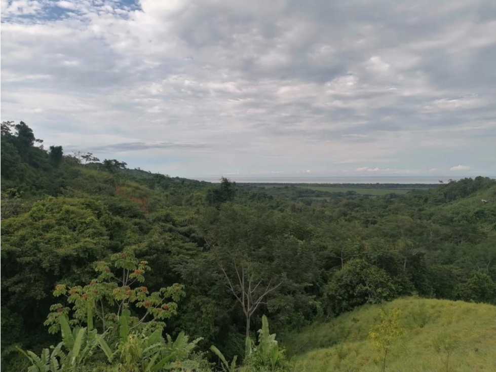 LOTES EN VENTA EN SANTA MARTA POR EL PARQUE TAYRONA — foto 4