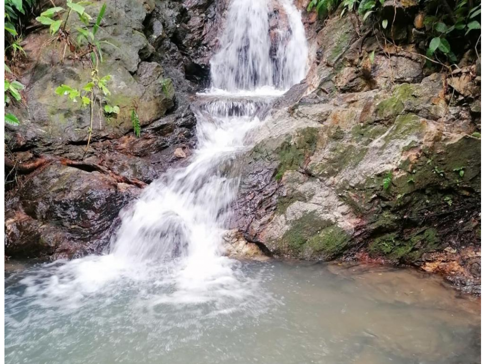 LOTES EN VENTA EN SANTA MARTA POR EL PARQUE TAYRONA — foto 5