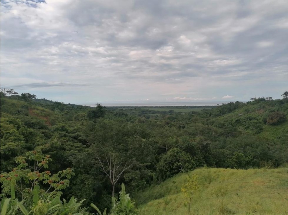 LOTES EN VENTA EN SANTA MARTA POR EL PARQUE TAYRONA — foto 6