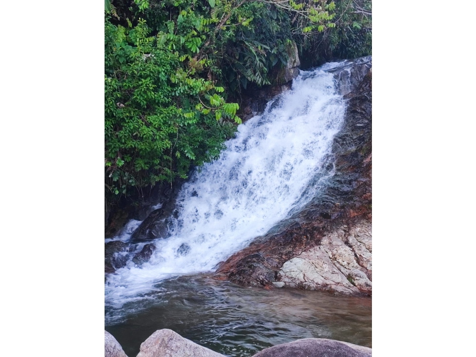 PRECIO DE OPORTUNIDAD FINCA EN VENTA EN COCORNA - 4