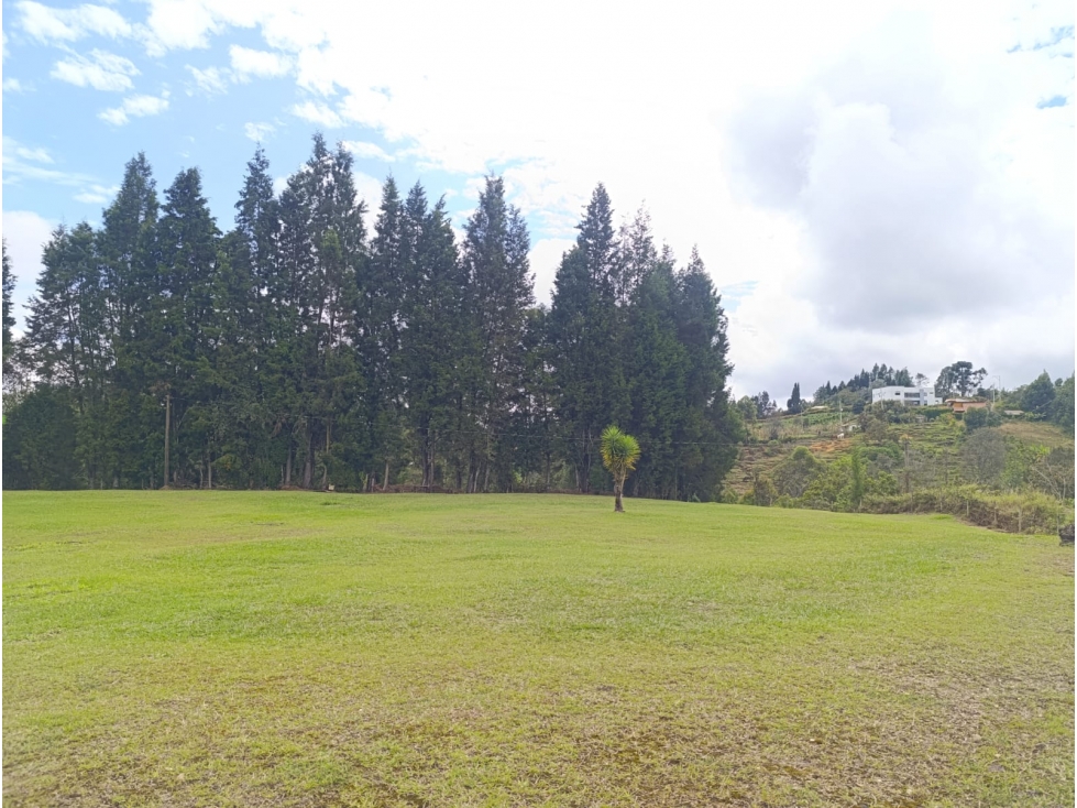 LOTE EN VENTA EN GUARNE — foto 5