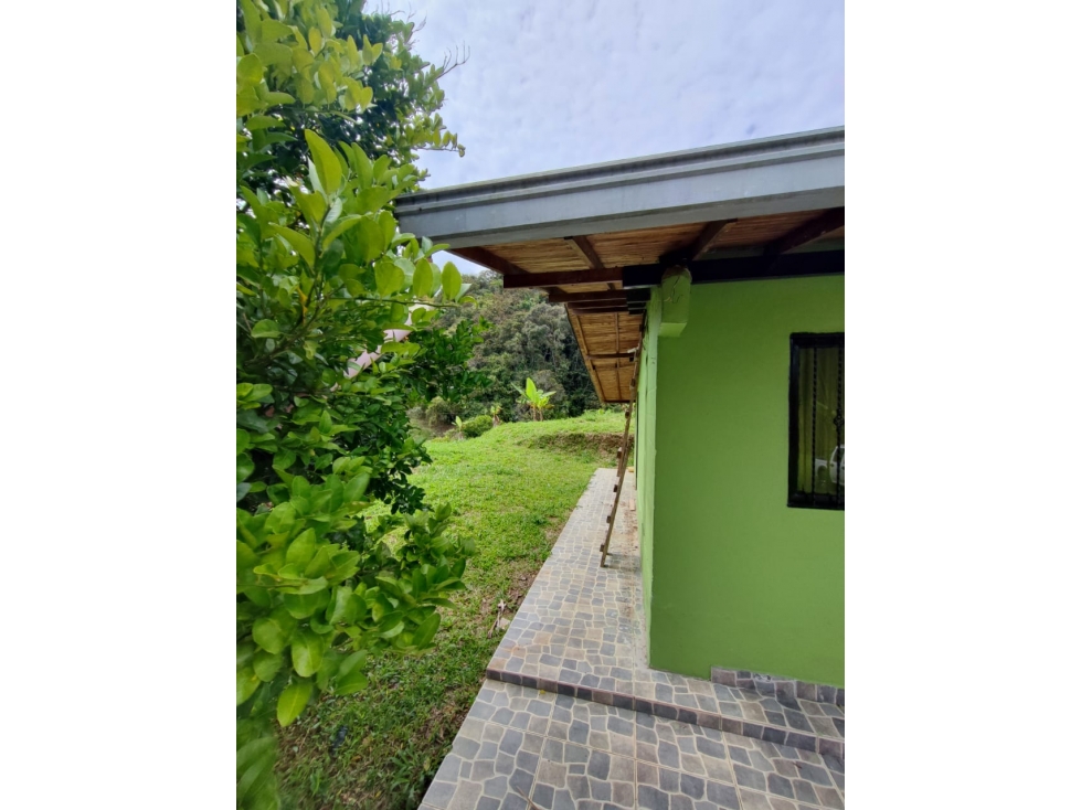PRECIO DE OPORTUNIDAD FINCA EN VENTA EN COCORNA - 2