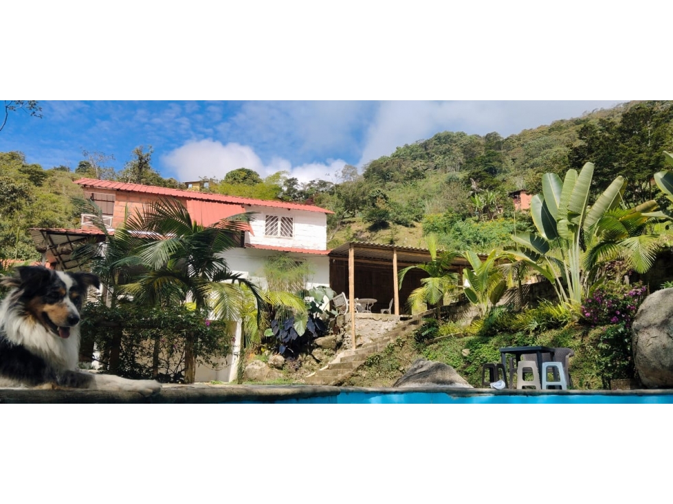 FINCA EN VENTA EN COCORNA - 2