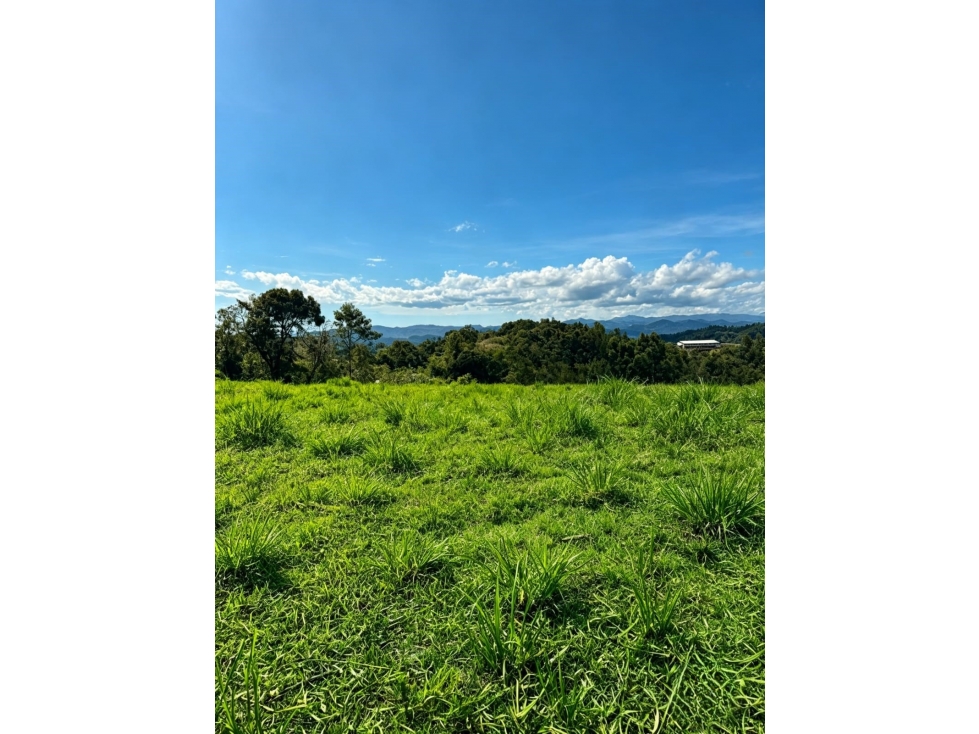 PRECIO DE OPORTUNIDAD VENTA DE LOTE EN LOMA DEL ESCOBERO ENVIGADO — foto 3