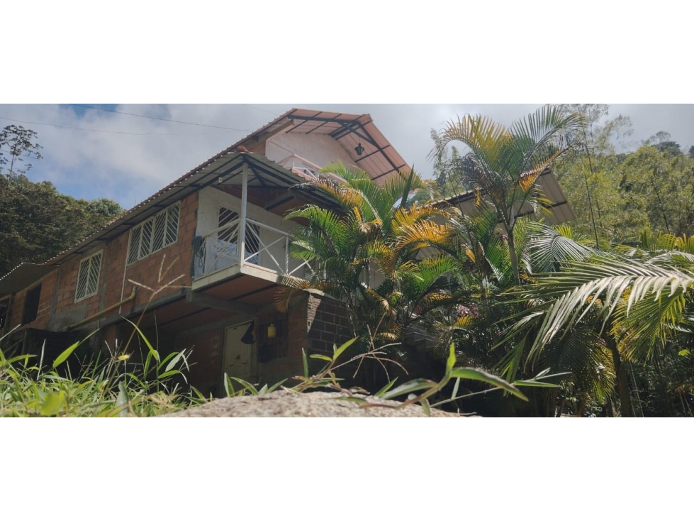 FINCA EN VENTA EN COCORNA - 5
