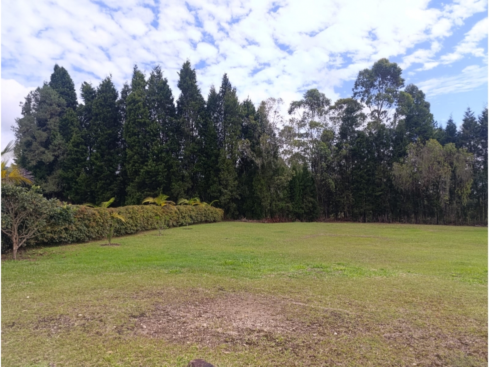 LOTE EN VENTA EN GUARNE — foto 3