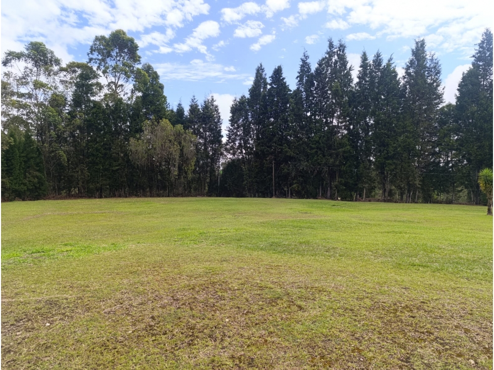 LOTE EN VENTA EN GUARNE