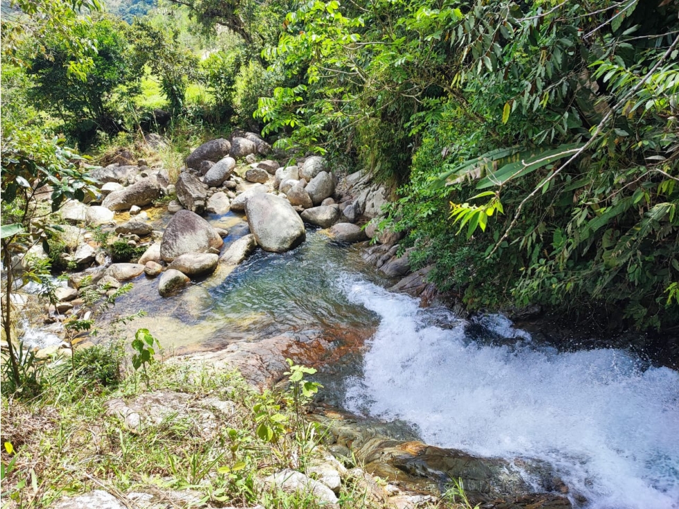 PRECIO DE OPORTUNIDAD FINCA EN VENTA EN COCORNA - 3