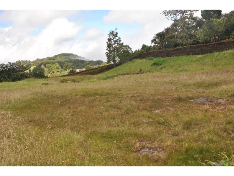 Venta de Lote en Alto de Palma, Unidad Encenillos — foto 3