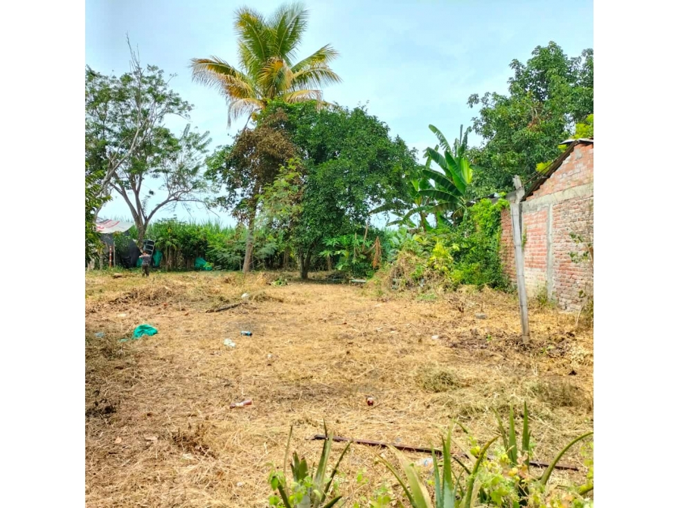 VENTA DE LOTE EN ROZO VALLE DEL CAUCA - 1