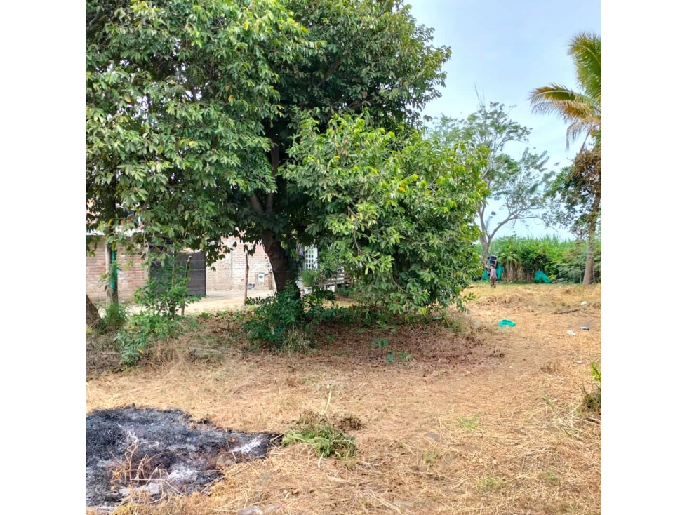 VENTA DE LOTE EN ROZO VALLE DEL CAUCA - 4