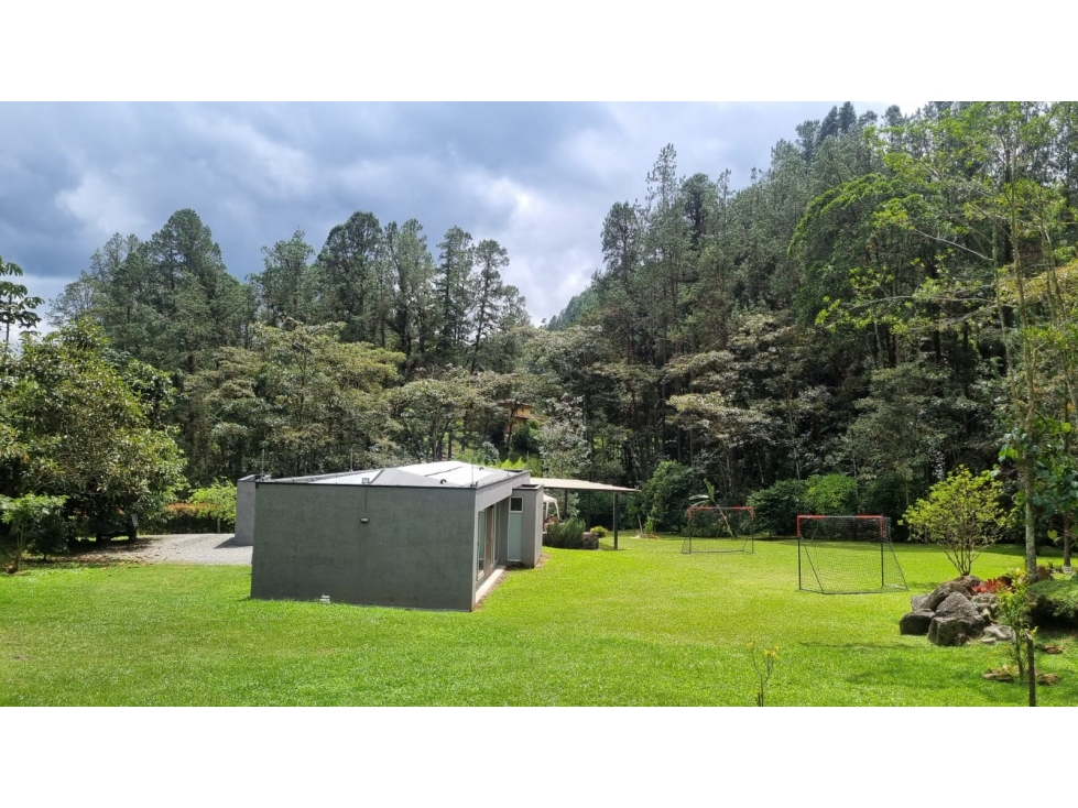 Casa con gran terreno disponible para- Renta en el Retiro — foto 4