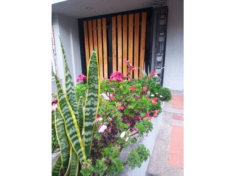 APARTAMENTO EN VENTA VERAGUAS CENTRAL — foto 3