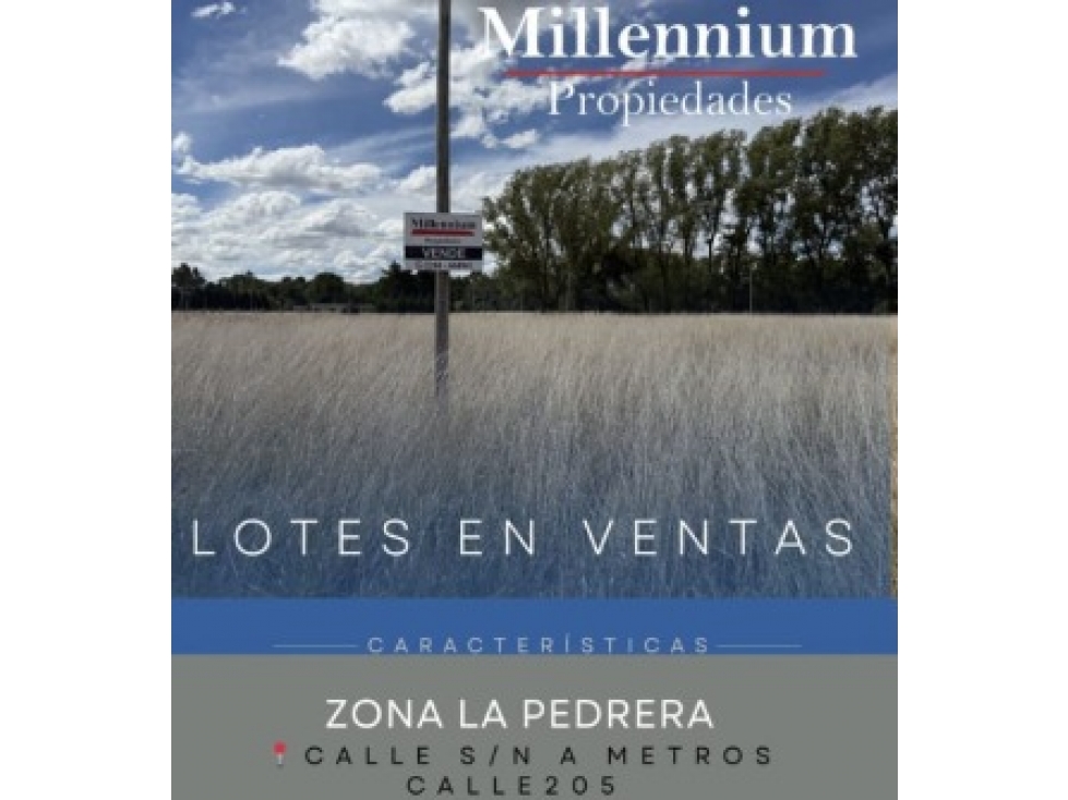 Terreno en venta zona la pedrera, palos de colores 20 x 33m - 3