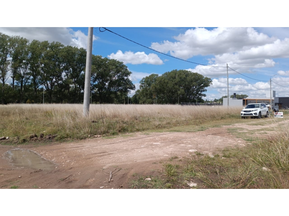 Terreno en venta zona la pedrera, palos de colores 20 x 33m - 4