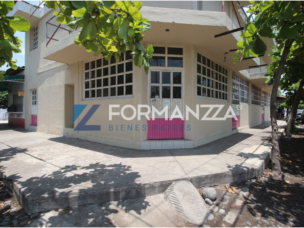 Locales en Renta, Centro, Tecomán - 4