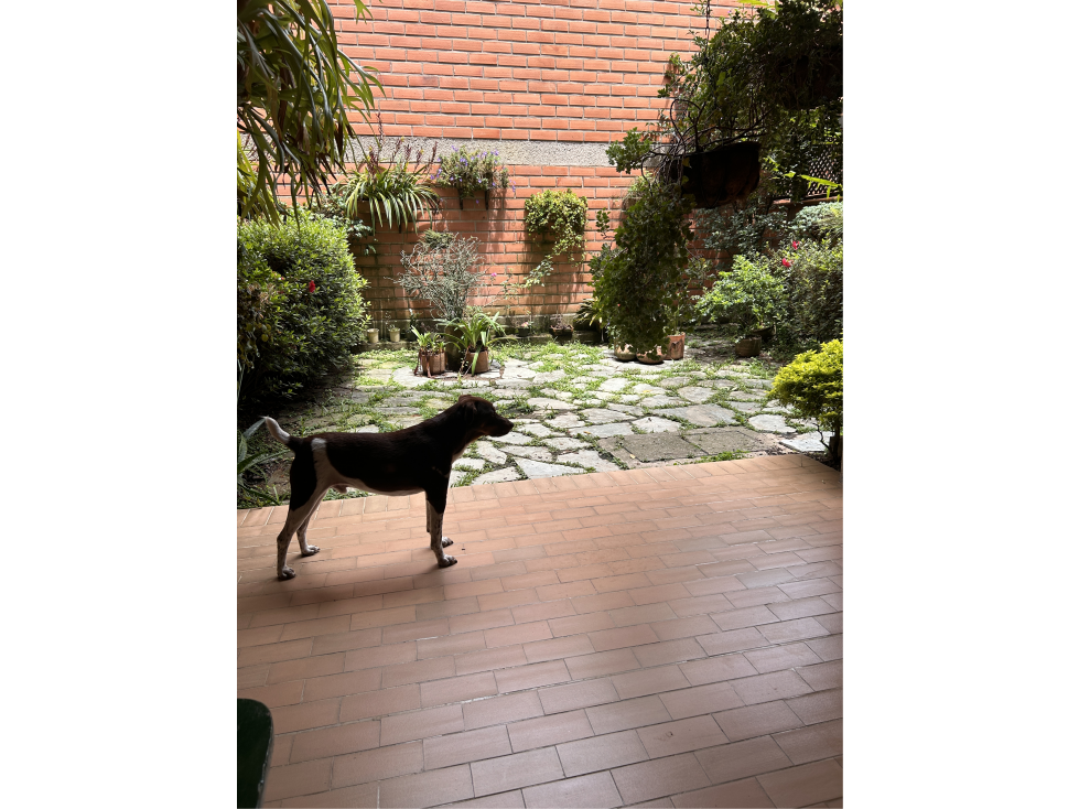 Casa en venta Envigado Loma Las brujas — foto 2