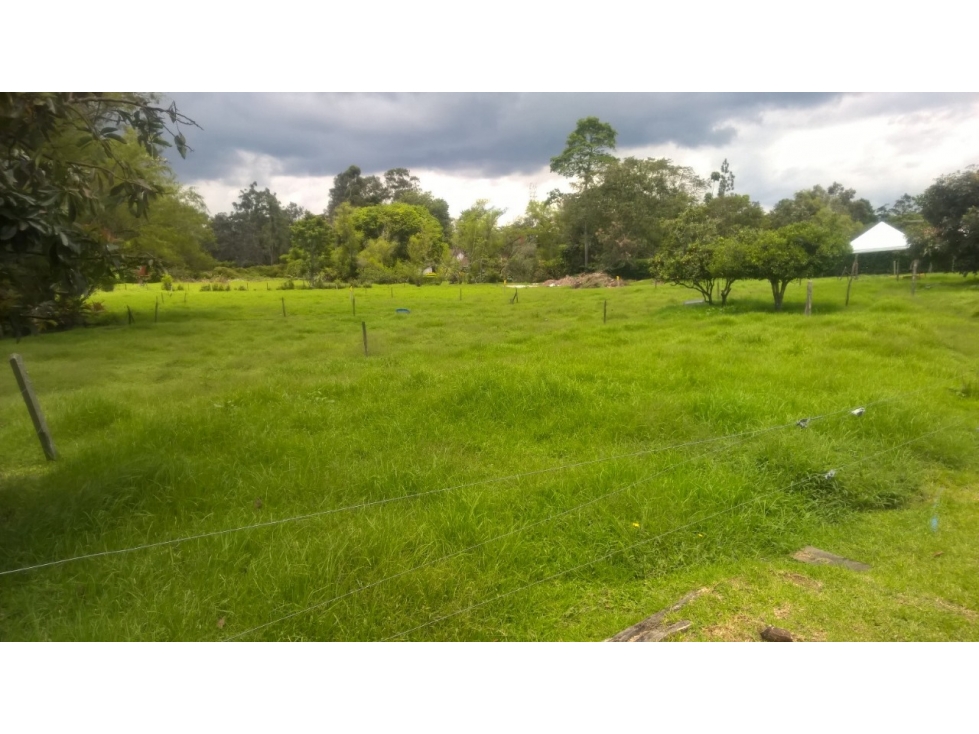 Lote en Venta en Llanogrande Rionegro