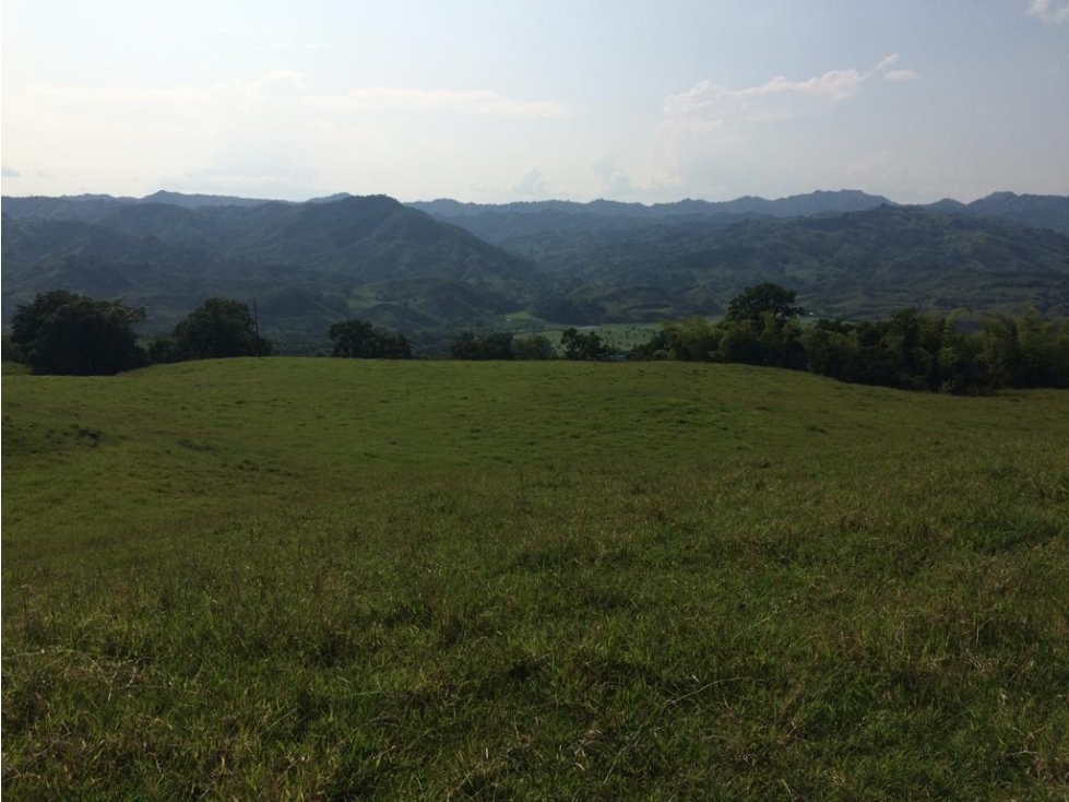 LOTE ESPECTACULAR PARA LA VENTA EN MONTENEGRO QUINDIO DD
