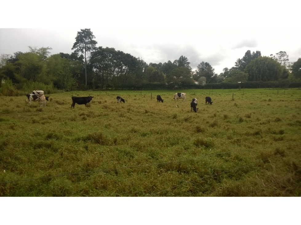 Lote en Venta Llanogrande - Vereda Chipre