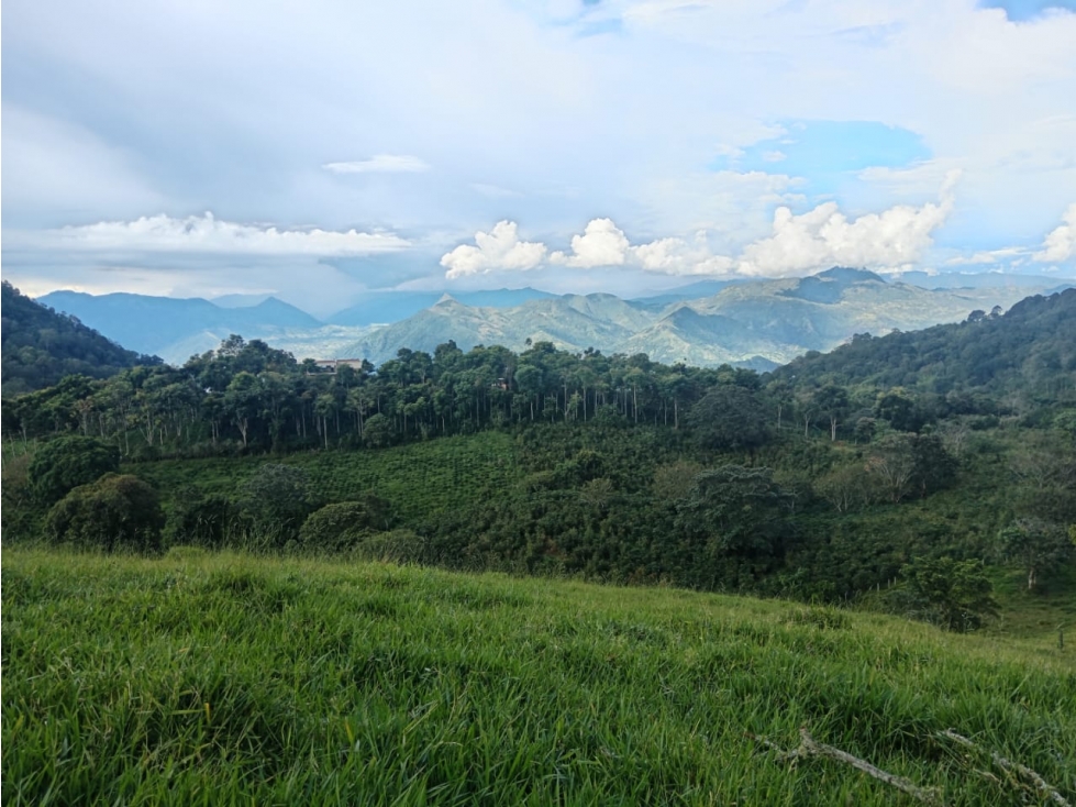 LOTE ESPECTACULAR CON VISTA DE 360 GRADOS PARA VENTA EN TARSO CCZ — foto 3