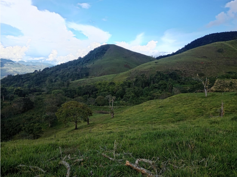 LOTE ESPECTACULAR CON VISTA DE 360 GRADOS PARA VENTA EN TARSO CCZ
