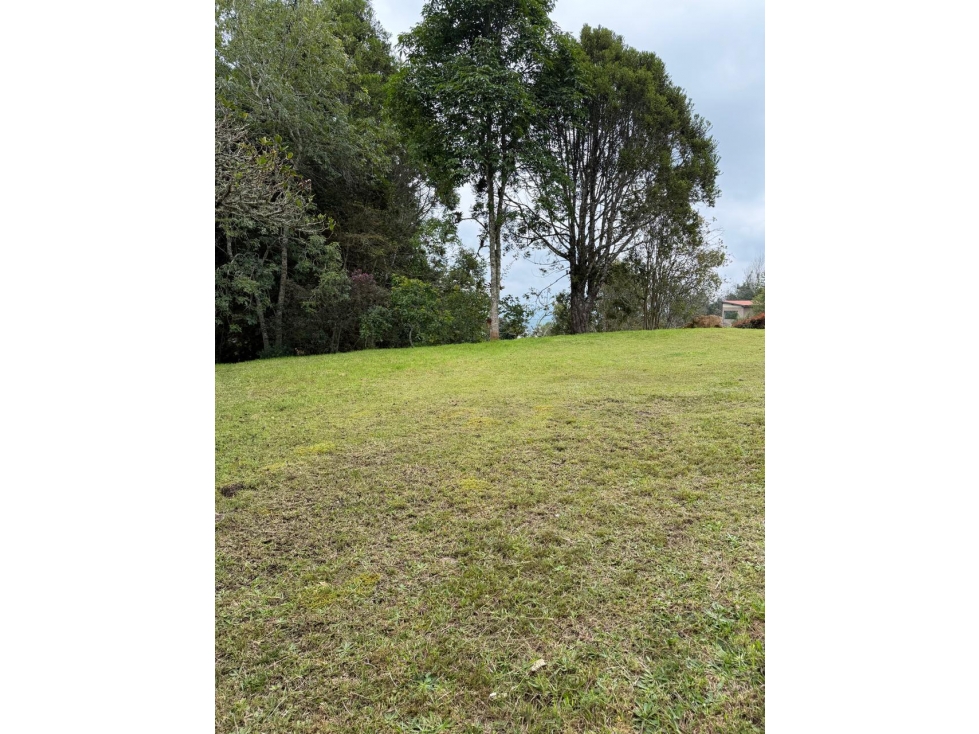 LOTE ESPECTACULAR PARA VENTA EN EL ALTO DE LAS PALMAS — foto 3