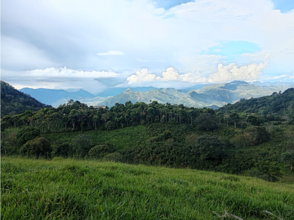 LOTE ESPECTACULAR CON VISTA DE 360 GRADOS PARA VENTA EN TARSO CCZ — foto 4