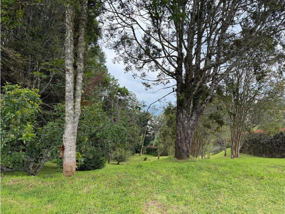 LOTE ESPECTACULAR PARA VENTA EN EL ALTO DE LAS PALMAS — foto 4