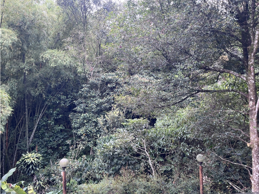 CASA PARA LA VENTA EN ENVIGADO SECTOR CUMBRES RODEADA DE NATURALEZA — foto 4