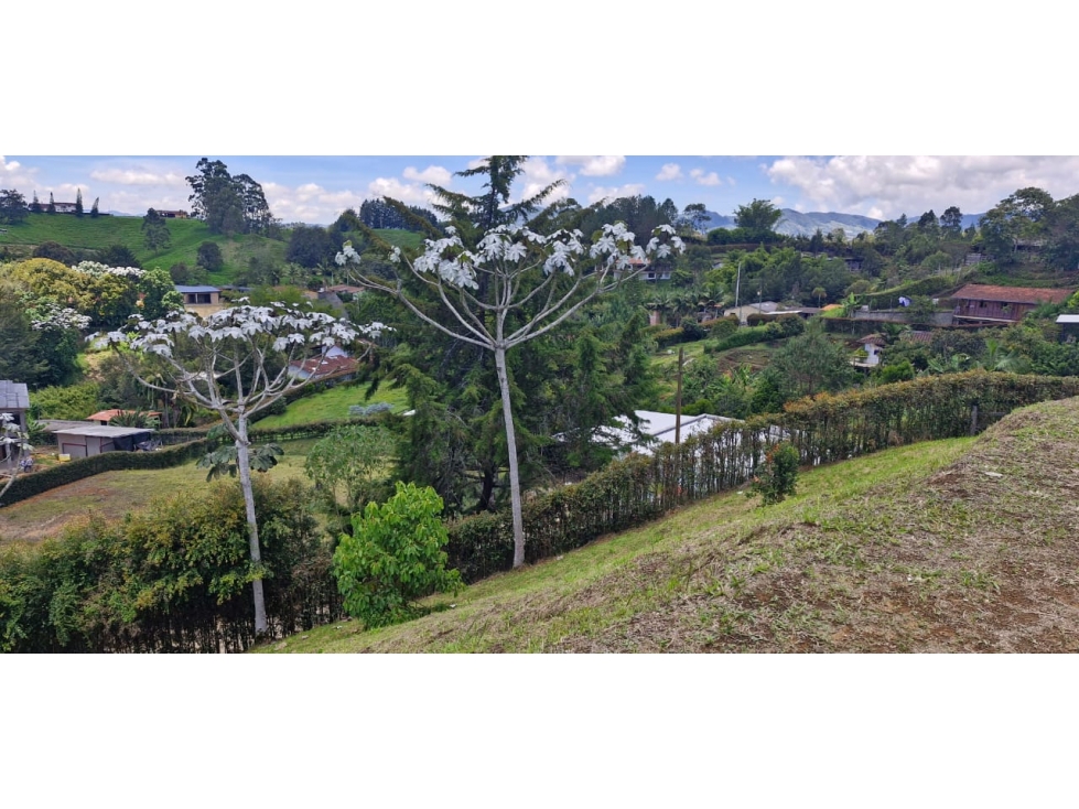 LOTE EN VENTA LISTO PARA CONSTRUIR EN EL CARMEN DE VIBORAL DD — foto 5