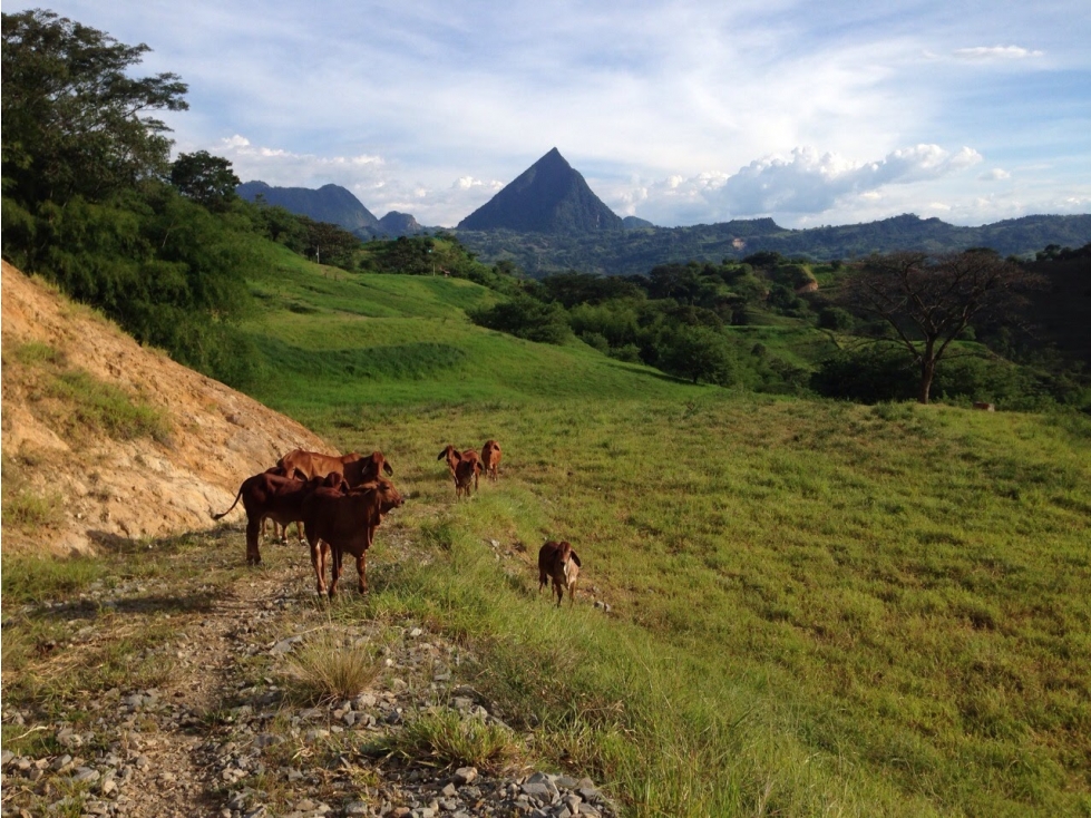 LOTE EN LA SIRIA CON VISTA ESPECTACULAR Y EN UBICACION AAA SYC — foto 6