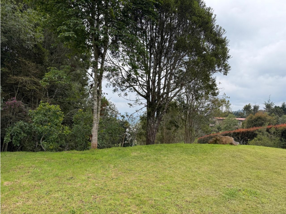 LOTE ESPECTACULAR PARA VENTA EN EL ALTO DE LAS PALMAS — foto 5