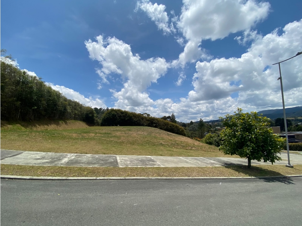 LOTE EN EL ALTO DE LAS PALMAS PARA VENTA CON VISTA A LA RESERVA — foto 6