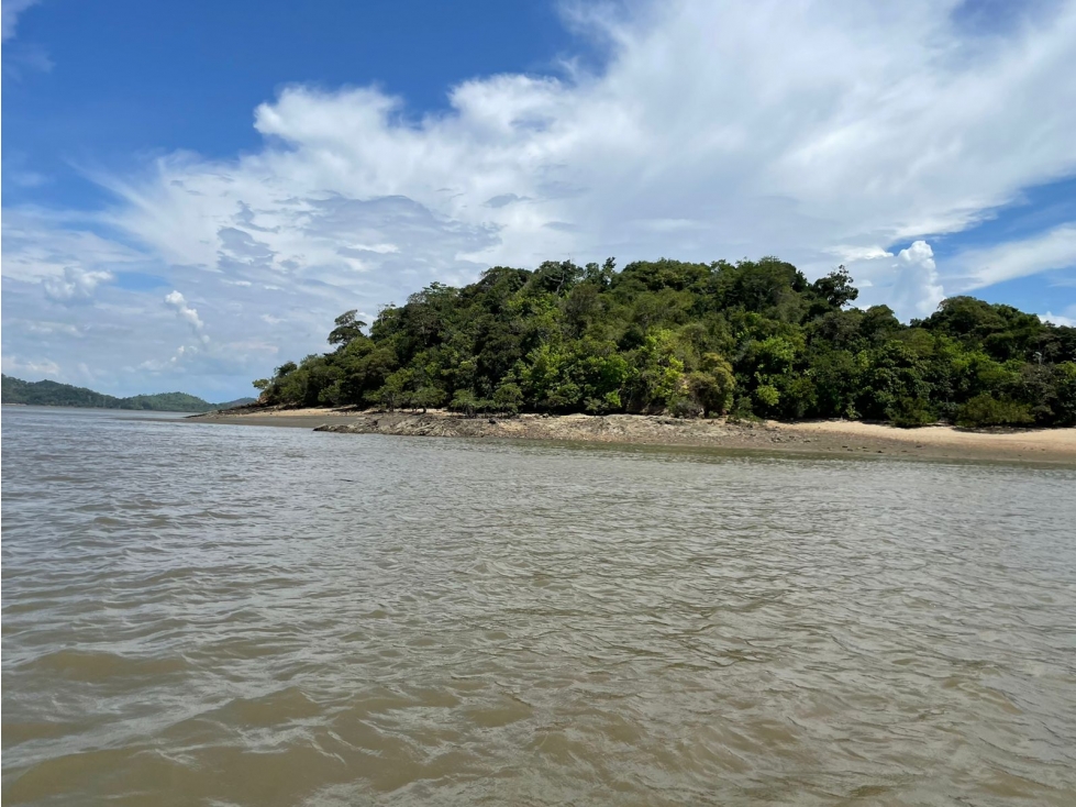 Secluded Serenity: Isla in Darien for Sale - 4