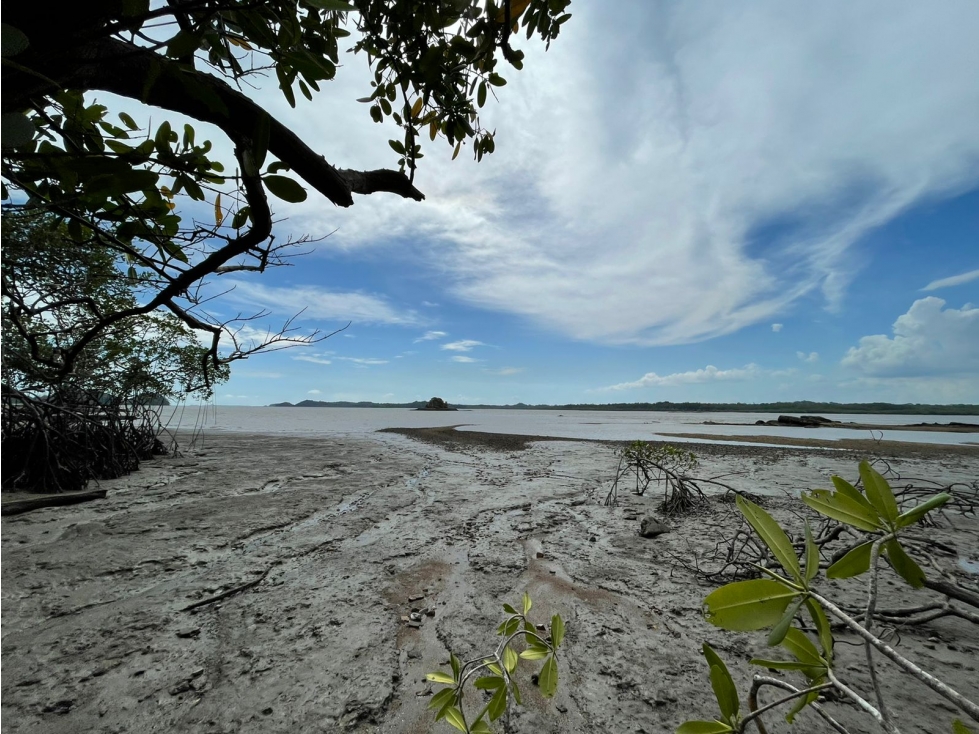 Secluded Serenity: Isla in Darien for Sale - 5