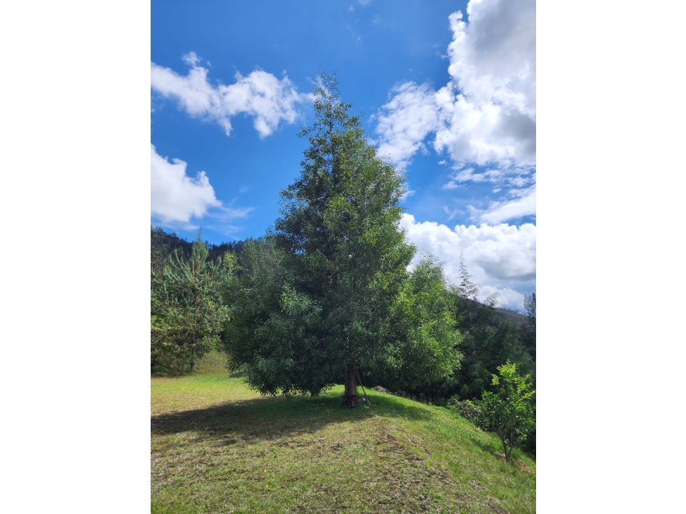 Venta de Lote en Parcelación en el Retiro, Rango15
