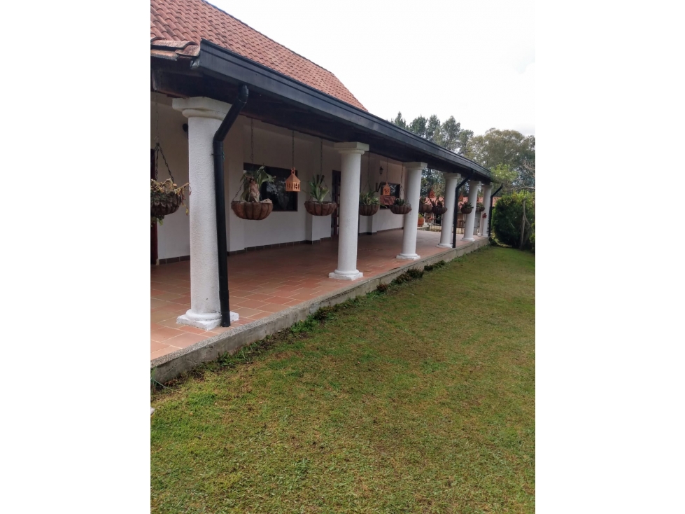 Finca en Santa Elena, Via el Hoyito Rango14 — foto 4