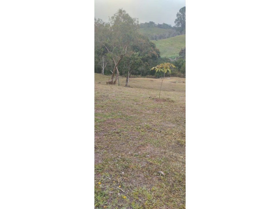 Venta de Lote en El Carmen de Viboral, Antioquia Rango8 — foto 5