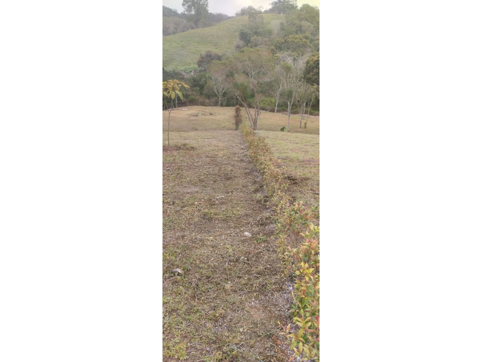 Venta de Lote en El Carmen de Viboral, Antioquia Rango8 — foto 6