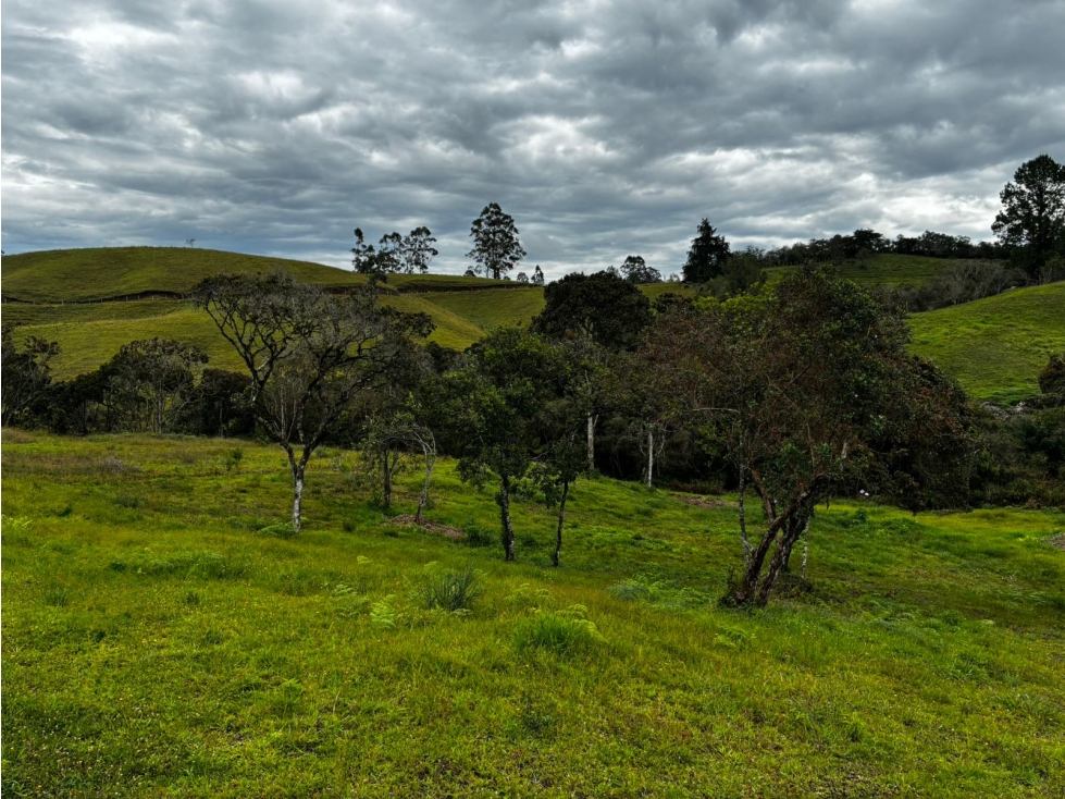 Venta de Lote en El Carmen de Viboral, Antioquia Rango8 — foto 3