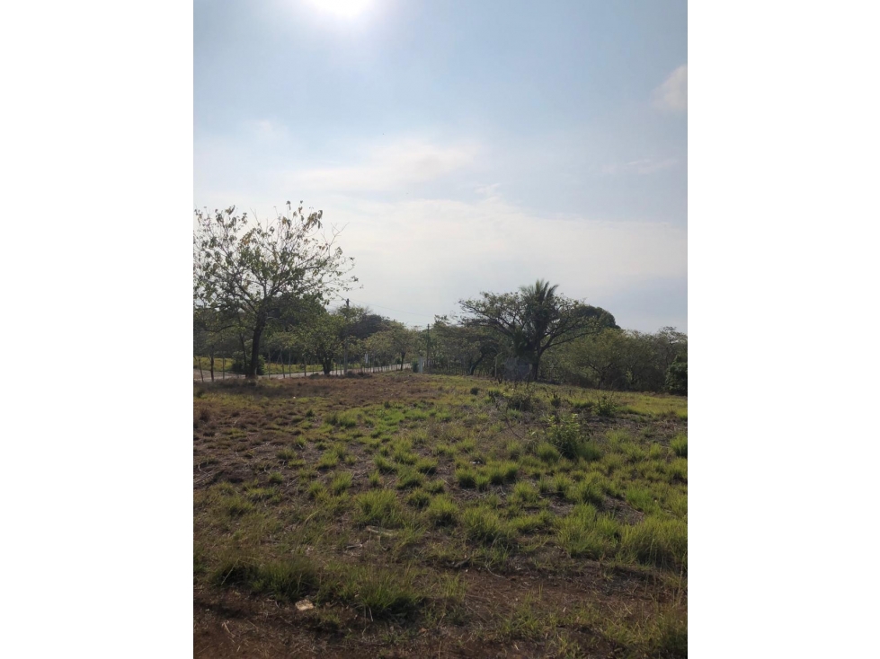 Venta de Terreno de 1543mts2 en Santa Catalina - Soná - Veraguas - 5