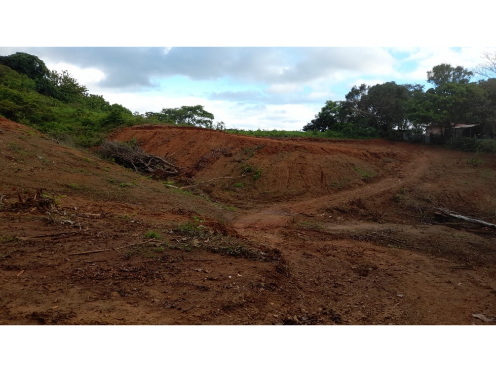 Venta de terreno de 7000mts2 - Tonosí - 1