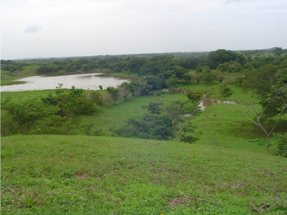 Venta de Finca de 17ha en Potuga - Herrera - 1