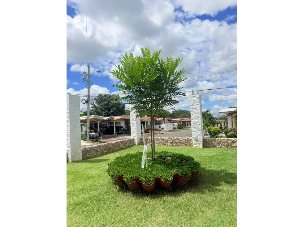 Venta de casa en Chitré — foto 4