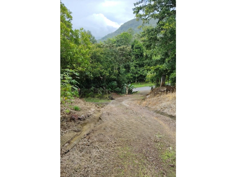 Venta de Finca Agroturística con 2 casas - 5