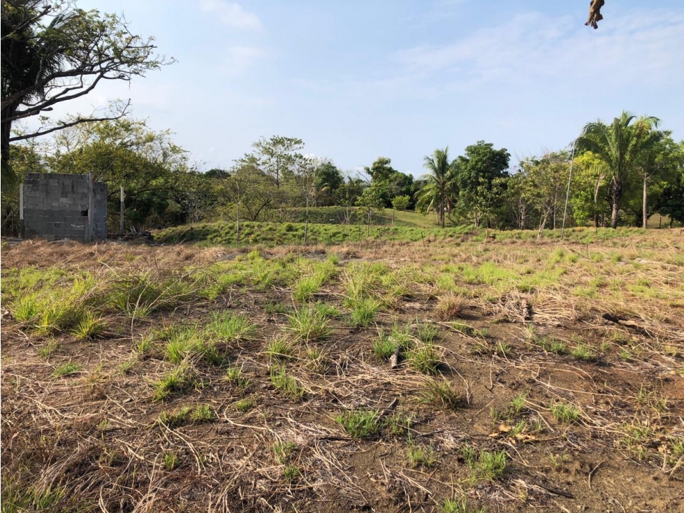 Venta de Terreno de 1543mts2 en Santa Catalina - Soná - Veraguas - 6